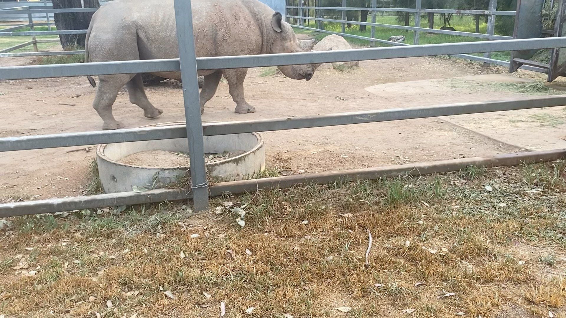 Dubbo Zoo 2025 Image -67de04a180ad0